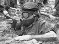 美国大兵的恶梦 越南丛林的“猴版地道战”